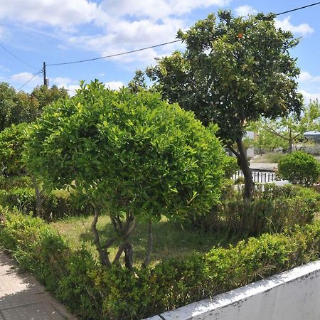 Casa Da Lardosa Hotel ภายนอก รูปภาพ